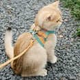 thumbnail image 5 of Reflective Cat Harness and Leash Set, Escape Resistant Adjustable Pet Harness for Small Medium Large Cats, Kittens, Puppies and Rabbits, 5 of 6
