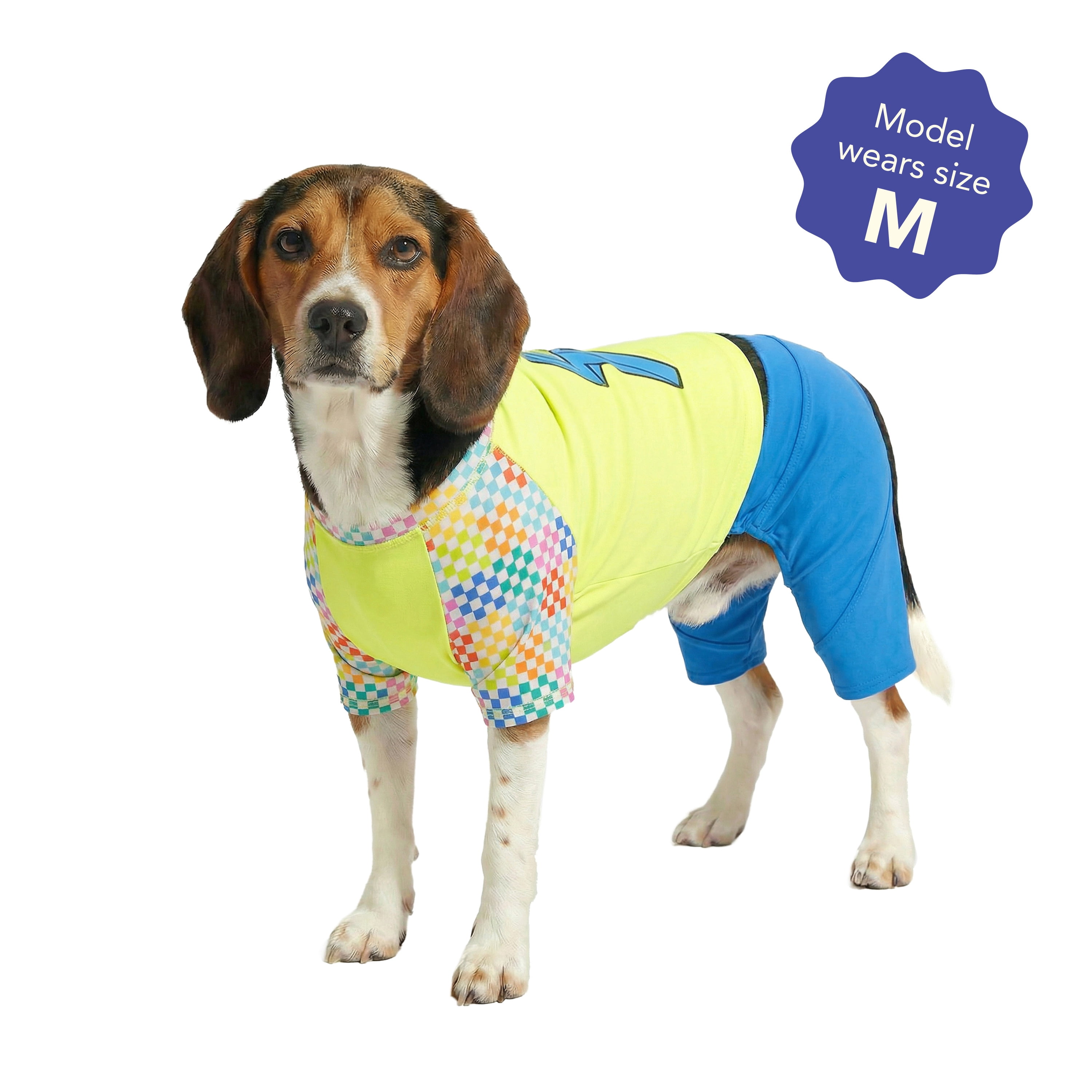 Oodles Green Lightning Bolt Spring 2-Piece Dog Swimsuit, Medium