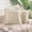 Beige, variant on NEXHOME PRO 100% Cotton Waffle Weave Throw Pillow Covers 12x20 Inch Set of 2, Home Decorative Lumbar Pillow Covers 2 Pack for Bed Couch Sofa Car, No Insert, Light Blue