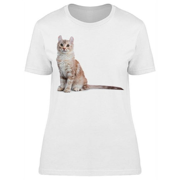 Shorthair Cat Sitting Straight T-Shirt Women -Image by Shutterstock, Female Large