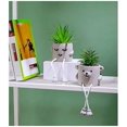 thumbnail image 4 of Plantas suculentas artificiales Linda pierna colgante Oso Falso Suculenta Planta en maceta Decoración para el hogar Oficina Dormitorio Sala de estar Escritorio Estantería Juego de 1, 4 of 5
