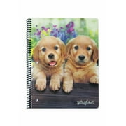 Golden Retriever Puppy Photography , 1-Subject Spiral Notebook, Wide Ruled