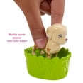 Barbie Play 'n Wash Pets Playset with Barbie Doll and 3 Color