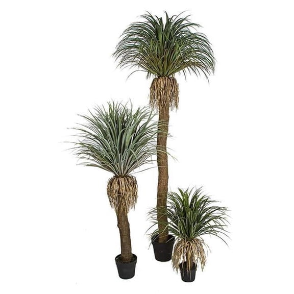 90 in. Pandanifolia Grass Tree, Green
