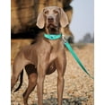 thumbnail image 2 of 6FT Reflective Nylon Dog Leash with Soft Padded Handle for Walking, Running and Training, Supports Small Medium and Large Dogs (Turquoise, 3/4Inch Wide), 2 of 6