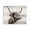 Horned Highland Cow Portrait, variant on Stupell Industries Rustic Lodge Horned Highland Cow Gazing Canvas Art, 20 x 16, by Julia Frost