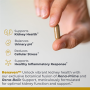 Premier Research Labs RenaVen - Premier Kidney Support - With Fermented Cordyceps - Kidney Health & Functions - Cranberry, Alfalfa, Hydrangea & Parsley - Vegan - 60 Plant-Source Capsules