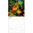 thumbnail image 4 of Andrews McMeel Publishing, Chihuly 2025 Wall Calendar, 4 of 4