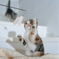 thumbnail image 4 of Cat Feather Teaser Stick Toy, Cat Interactive Retractable Fishing Rod, Funny Cat Stick, 4 of 5