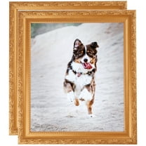 ArtToFrames 11" x 21" Bright Gold Picture Frame, 11x21 inch Gold Wood Poster Frame (WOM-4928), 2 Pack