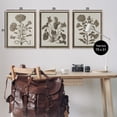 thumbnail image 4 of Stupell Industries Vintage Country Botanicals Plants & Flowers Painting Brown Floater Framed Canvas Art Print Wall Art, 25 x 31, Set of 3, 4 of 10