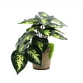 thumbnail image 2 of Mini Artificial Potted Plants Set Realistic Tropical Monstera Ivy UV Resistant Faux Mini Potted Greenery Leaves Plants Indoor for Home Office Desk Shelf Bathroom Jungle Hawaiian Party Décor Gifting, 2 of 9