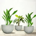 thumbnail image 4 of Grand Pot de Fleurs en Résine pour Arbres – Pot de Plante Rond Léger avec Finition Texturée en Pierre, Résistant aux Intempéries Décoratif Extérieur & Intérieur (Petite Taille - 13 Pouces), 4 of 5