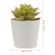 thumbnail image 2 of unbranded 3Ud Planta Artificial Bonsai Decorativa Para Oficina Hogar Escritorio Fácil Cuidado, 2 of 6