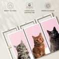thumbnail image 6 of Elephant Stock Cat Breed Colors Wall Art - Horizontal Multi Panel Canvas - Lobby Wall Decor - Animal Multi Panel - Gray And White Decor - 38" x 24", 6 of 8