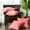 Coral Spice, variant on Home Soft Things Quilted Micromink 4 Piece Throw Pillow Cover Set - Grey - 20" x 20"