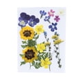 thumbnail image 1 of Flores secas naturales artesanías hechas a mano ramos en relieve flores prensadas Adorno hermoso presente para tarjetas de boda Vela de resina Tipo 4 Inevent HA010776-04, 1 of 7