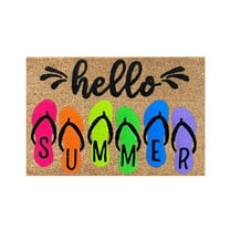 Summer Door Mat Outdoor Welcome Doormats Door Mat Outdoor Entrance Hummingbird Butterfly Flowers Spring Doormat Funny Door Mats House Rugs for Doorways Prime of Day 16x24IN