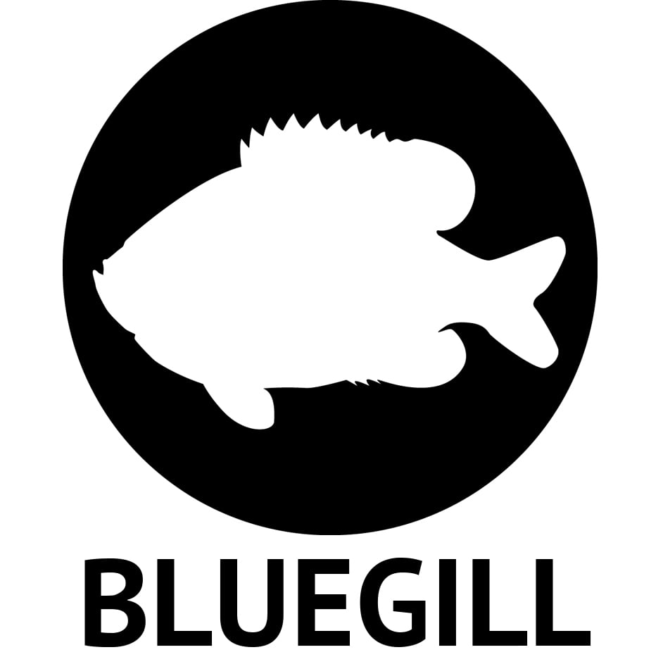 Northland Fishing Tackle UV Mimic Minnow Jig Fishing Lure for Bass - UV Pink Tiger - 1/32 oz