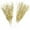 Golden, variant on Juliy Berry Branches Stems 10pcs Christmas Tree Picks Eco-friendly Artificial Tree Filler Sticks with Vibrant Color Widely Used for Christmas Decorations