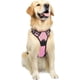 thumbnail image 2 of Rabbitgoo Arnés para Mascotas sin Tirones con 2 Clips para Correa, Acolchado Suave Ajustable, Chaleco Oxford Reflectante para Mascotas sin asfixia con asa de fácil Control para Perros Grandes, Rosa, L, 2 of 4
