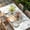 White, variant on Fall Pumpkins Table Cloths for 5 Foot Rectangle Tables, Thanksgiving Country Maple Leaf Plant Patio Waterproof Elastic Fitted Tablecloths, Washable Rectangular Table Cover for Camping