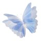 thumbnail image 1 of Mariposa de gasa artificial, flor, mariposas, cumpleaños, exhibición grande, fotografía Azul, 1 of 9