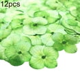 thumbnail image 1 of Flmtop 12Pcs Pressed Dried Flower Plant Specimen Epoxy Resin Phone Decor DIY Accessory, 1 of 11
