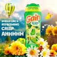 thumbnail image 3 of Gain Laundry Scent Beads, Fireworks In-Wash Scent Booster, Original Scent, 24oz, 3 of 11