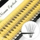 thumbnail image 2 of 10D/20D/30D/40D C Lump Latigazos C Volumen Individual Tufted Latigazos Extensión de pestañas postizas naturales Deng Xun unisex, 2 of 2