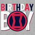 thumbnail image 2 of Boy's Marvel Birthday Boy Black Widow Logo Graphic Tee Athletic Heather X Large, 2 of 5