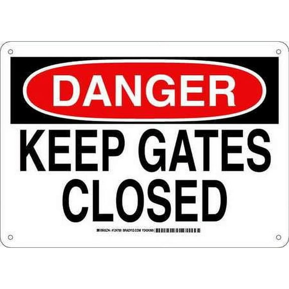 BRADY 124789 DANGER SIGN 10X14