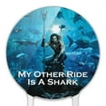 thumbnail image 3 of Acrylic Aquaman Movie My Other Ride is a Shark Cake Topper Party Decoration for Wedding Anniversary Birthday Graduation, 3 of 7