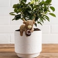 thumbnail image 4 of Highland Cow Statue Flower Pot Holder Resin Ornament 3.54 Inch, Funny Garden Accessory for Outdoor Gardens, Patio, Lawn, Balcony and Indoor Living Room Decor, Cute Farm Animal Gift, 4 of 4