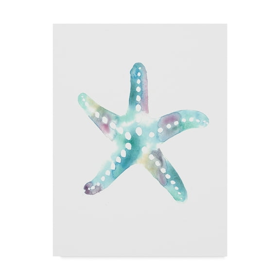 Trademark Fine Art 'Star Fish' Canvas Art by Nicky Kumar