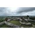 thumbnail image 4 of Steiner 10x42 Safari UltraSharp Binoculars Compact Lightweight Performance Outdoor Optics, 4 of 6