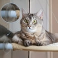 thumbnail image 5 of Ventana de vidrio gato nido hamaca ventosa 2 modelos, 8 juegos, anillo circular con orificio transversal, fuerte succión y transparente Sincero Electrónica, 5 of 5