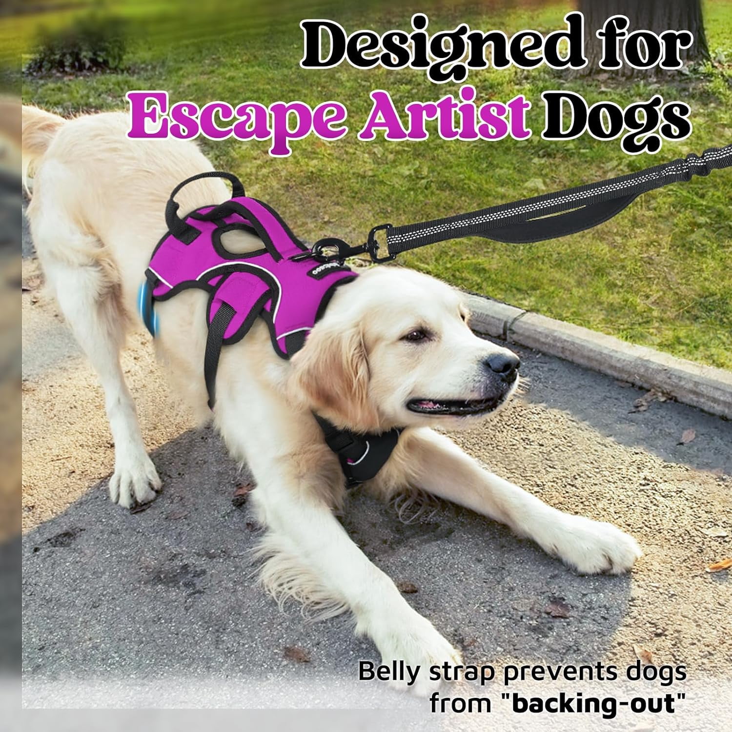 rabbitgoo Escape Proof Dog Harness, Soft Padded Full Body Pet Harness, Reflective Adjustable No Pull Vest with Lift Handle and Lesh Clip for Large Dogs Walking Hiking Training, Purple