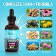 thumbnail image 4 of Organic Lymphatic Drainage Supplement | Lymphatic Support Drops | Burdock Root Echinacea Elderberry Dandelion Astragalus Milk Thistle Sea Moss Red Clover Cleanse Marigold Drop By Clean Nutra, 4 of 9