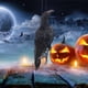 thumbnail image 5 of Negro de con plumas de , modelo de , espantapájaros de jardín, control de plagas libre, de pájaros, decoración Colcomx Decoraciones de Halloween del cuervo, 5 of 7