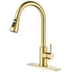 thumbnail image 1 of Grifo de Cocina con Rociador Abatible FORIOUS Extraíble 1 Manija Comercial Acero Inoxidable Oro Champagne FORIOUS FF0023G, 1 of 2