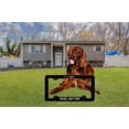 thumbnail image 2 of Smart Blonde LPF-250 6 x 12 in. Irish Setter Novelty Metal License Plate Frame, 2 of 2
