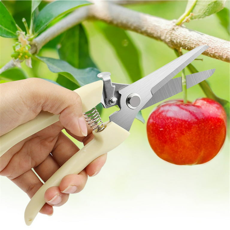 Elbourn Gardening Tools Steel Pruning Shears, Heavy Duty Garden Clippers  Scissors Tree Trimmer Hand Pruners - 2 Pack 