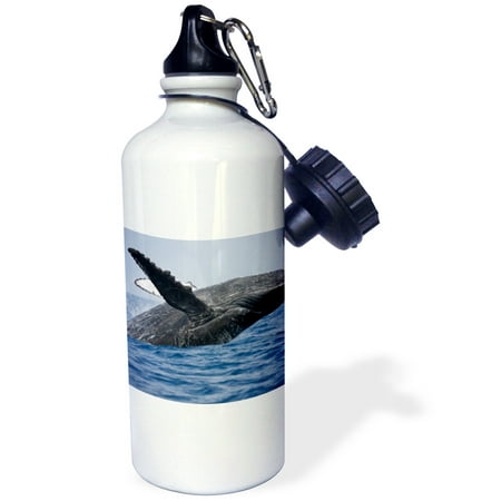 

3dRose Hawaii Big Island Humpback Whale breaching - US12 PSO0005 - Paul Souders Sports Water Bottle 21oz
