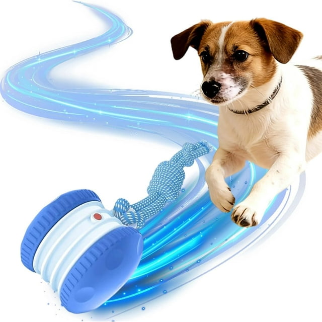 2026 Interactive Dog Ball Toy|Activated Automatic Rolling Dog Toy with Rope for Small,Medium,Large Dogs,Rechargeable Motion-Activated Smart Dog Ball Indoor Play Entertainment (Blue)