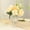 Clear, variant on Efavormart 2 Pack Clear Glass Flower Vases in Classic Roman Urn Style, Mini Pedestal Vase Table Centerpieces - 6"