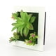 thumbnail image 3 of Plantas Foto Plantas de simulación artificial Colgante de pared 3D / Flores de escritorio Plantas de Meterk 26, 3 of 7