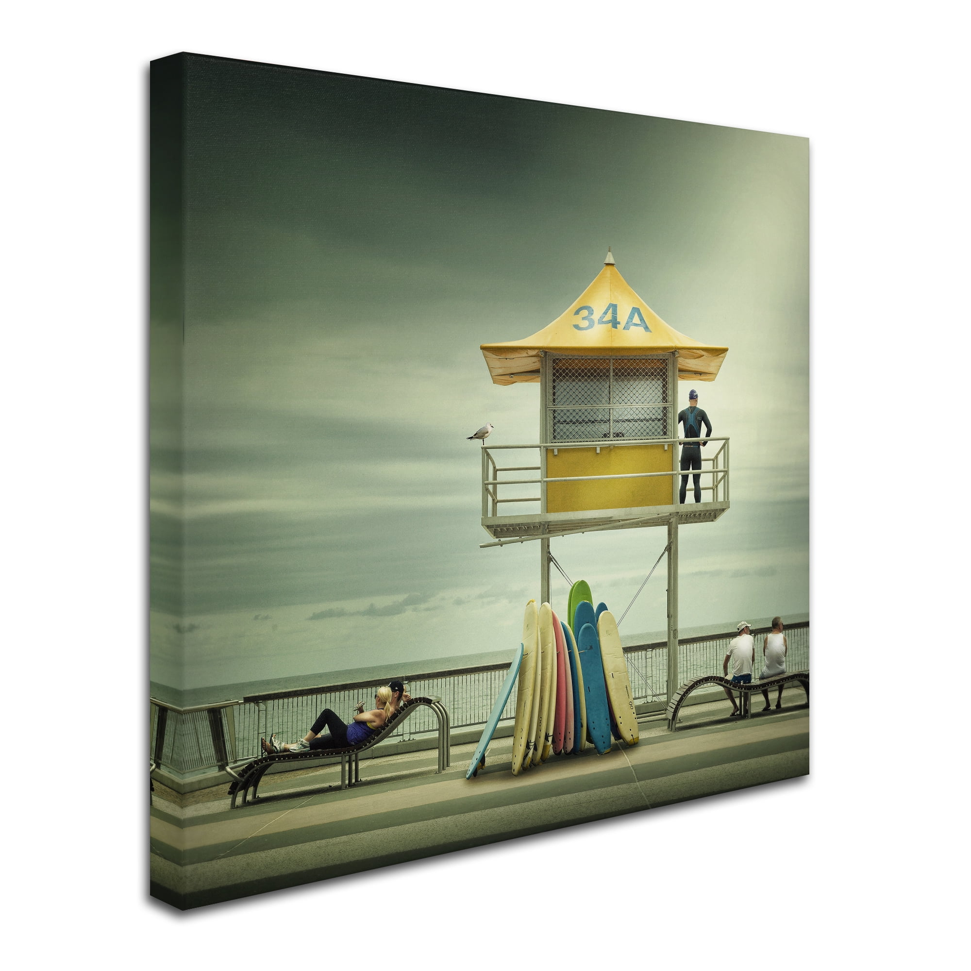Adrian Donoghue 'The Life Guard' Canvas Art