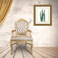 thumbnail image 3 of Popp, Grace 15x18 Gold Ornate Wood Framed with Double Matting Museum Art Print Titled - Desert Blooms II, 3 of 4