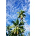 thumbnail image 2 of Hawaii, Tall Palm Trees Against Bright Blue Sky And Clouds Poster Print (24 x 38), 2 of 4